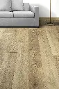 MONTAIN OAK_1.webp