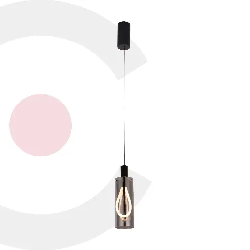 Lámpara colgante 2CLTP694